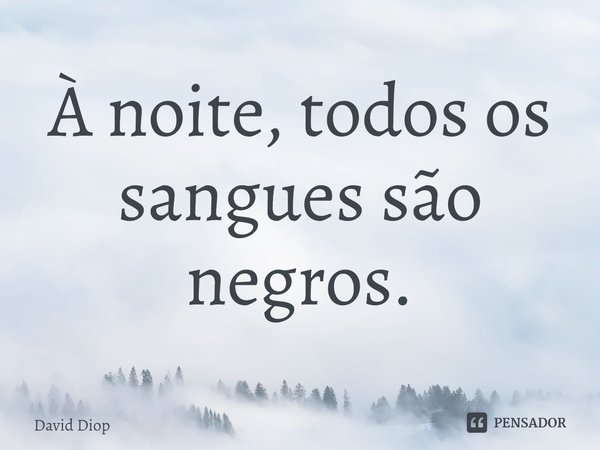 ⁠À noite, todos os sangues são negros.... Frase de David Diop.