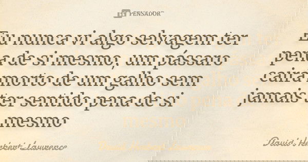 Eu nunca vi algo selvagem ter pena de si mesmo, um pássaro cairá morto de um galho sem jamais ter sentido pena de si mesmo... Frase de David Herbert Lawrence.