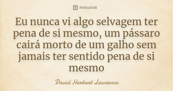 Eu nunca vi algo selvagem ter pena de si mesmo, um pássaro cairá morto de um galho sem jamais ter sentido pena de si mesmo... Frase de David Herbert Lawrence.