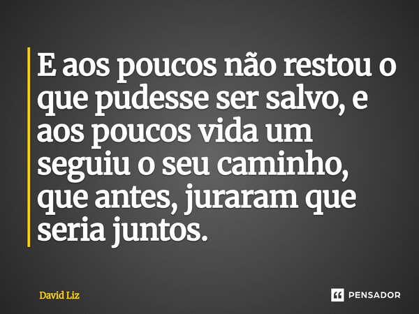 E aos poucos não restou o que pudesse ser salvo, e aos poucos vida um seguiu o seu caminho, que antes, juraram que seria juntos.... Frase de David Liz.