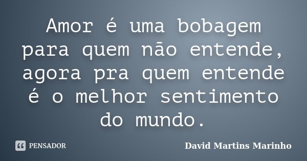 Amor é uma bobagem para quem não entende, agora pra quem entende é o melhor sentimento do mundo.... Frase de David Martins Marinho.