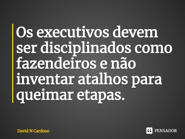 ⁠Os executivos devem ser disciplinados como fazendeiros e não inventar atalhos para queimar etapas.... Frase de David N Cardoso.