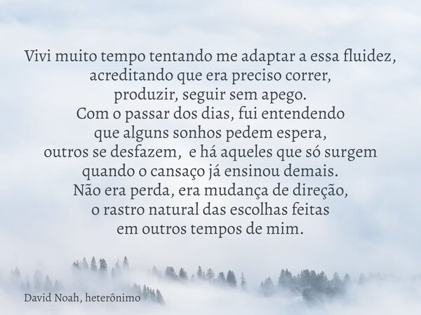 Vivi muito tempo tentando me adaptara essa fluidez, acreditando que era preciso correr, produzir, seguir sem apego. Com o passar dos dias, fui entendendo que al... Frase de David Noah, heterônimo.