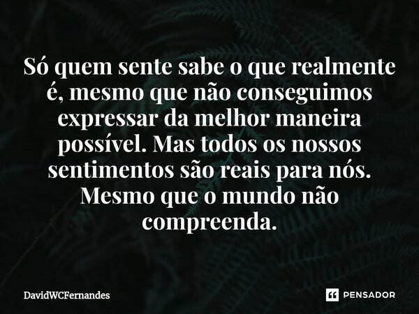 Só quem sente sabe o que realmente é, mesmo que não conseguimos expressar da melhor maneira possível. Mas todos os nossos sentimentos são reais para nós. Mesmo ... Frase de DavidWCFernandes.
