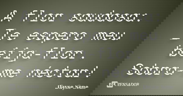 A flor saudosa: _Te espero meu beija-flor. Sobra-me néctar!... Frase de Dayse Sene.