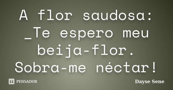 A flor saudosa: _Te espero meu beija-flor. Sobra-me néctar!... Frase de Dayse Sene.