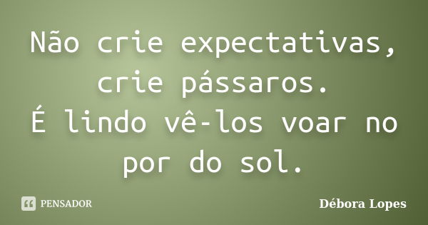 Não crie expectativas, crie pássaros. É lindo vê-los voar no por do sol.... Frase de Débora Lopes.