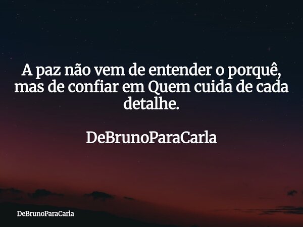 A paz não vem de entender o porquê, mas de confiar em Quem cuida de cada detalhe. DeBrunoParaCarla... Frase de DeBrunoParaCarla.