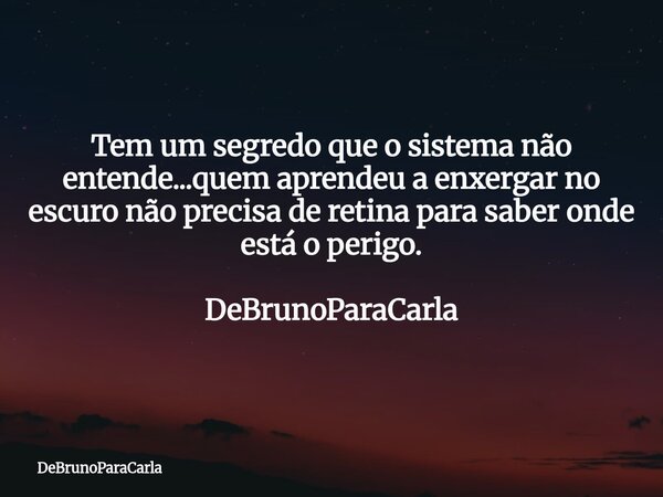 Tem um segredo que o sistema não entende...quem aprendeu a enxergar no escuro não precisa de retina para saber onde está o perigo. DeBrunoParaCarla... Frase de DeBrunoParaCarla.
