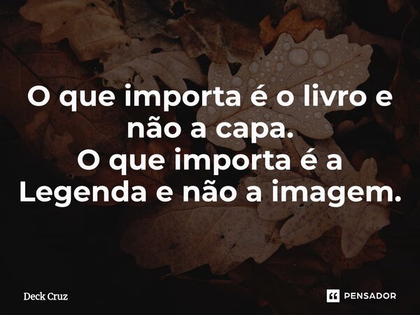 ⁠O que importa é o livro e não a capa. O que importa é a Legenda e não a imagem.... Frase de Deck Cruz.