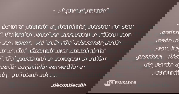 - O que é perda? - Lembra quando a joaninha pousou no seu ombro? Primeiro você se assustou e ficou com medo de se mexer. Aí ela foi descendo pelo seu braço e fo... Frase de deconhecido.
