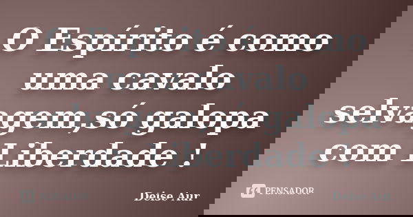 O Espírito é como uma cavalo selvagem,só galopa com Liberdade !... Frase de Deise Aur.