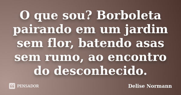 O que sou? Borboleta pairando em um jardim sem flor, batendo asas sem rumo, ao encontro do desconhecido.... Frase de Delise Normann.