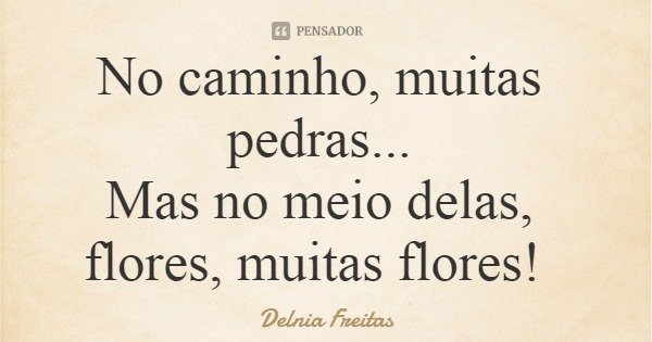 No caminho, muitas pedras... Mas no meio delas, flores, muitas flores!... Frase de Delnia Freitas.