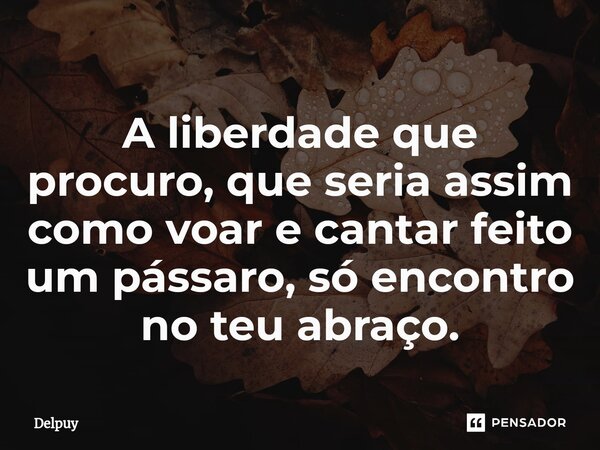 ⁠A liberdade que procuro, que seria assim como voar e cantar feito um pássaro, só encontro no teu abraço.... Frase de Delpuy.