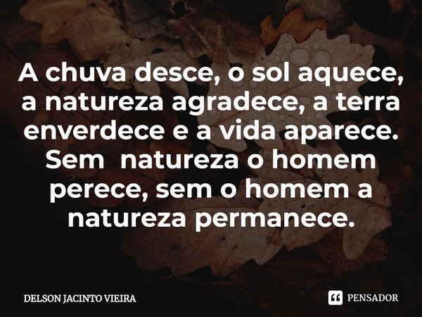 A chuva desce, o sol aquece, a natureza agradece, a terra enverdece e a vida aparece. Sem natureza o homem perece, sem o homem a natureza permanece.... Frase de Delson Jacinto Vieira.