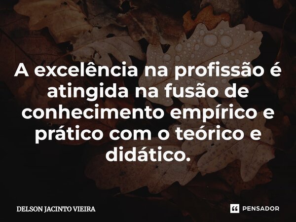 A excelência na profissão é atingida na fusão de conhecimento empírico e prático com o teórico e didático.... Frase de Delson Jacinto Vieira.