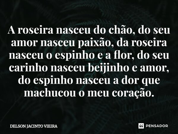 A roseira nasceu do chão, do seu amor nasceu paixão, da roseira nasceu o espinho e a flor, do seu carinho nasceu beijinho e amor, do espinho nasceu a dor que ma... Frase de Delson Jacinto Vieira.