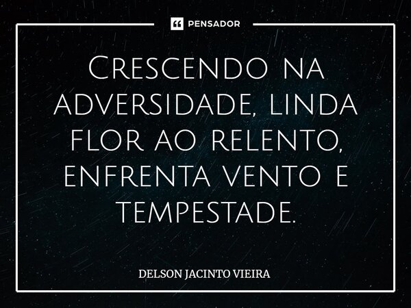 ⁠Crescendo na adversidade, linda flor ao relento, enfrenta vento e tempestade.... Frase de Delson Jacinto Vieira.