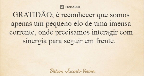 GRATIDÃO; é reconhecer que somos apenas um pequeno elo de uma imensa corrente, onde precisamos interagir com sinergia para seguir em frente.... Frase de Delson Jacinto Vieira.