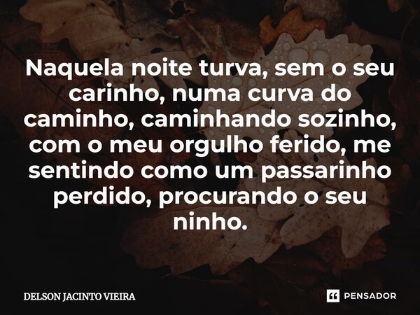 ⁠Naquela noite turva, sem o seu carinho, numa curva do caminho, caminhando sozinho, com o meu orgulho ferido, me sentindo como um passarinho perdido, procurando... Frase de Delson Jacinto Vieira.