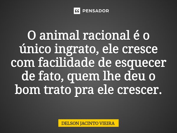 ⁠O animal racional é o único ingrato, ele cresce com facilidade de esquecer de fato, quem lhe deu o bom trato pra ele crescer.... Frase de Delson Jacinto Vieira.