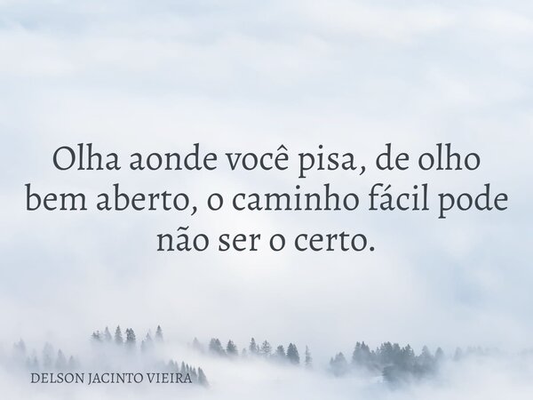 Olha aonde você pisa, de olho bem aberto, o caminho fácil pode não ser o certo.... Frase de DELSON JACINTO VIEIRA.