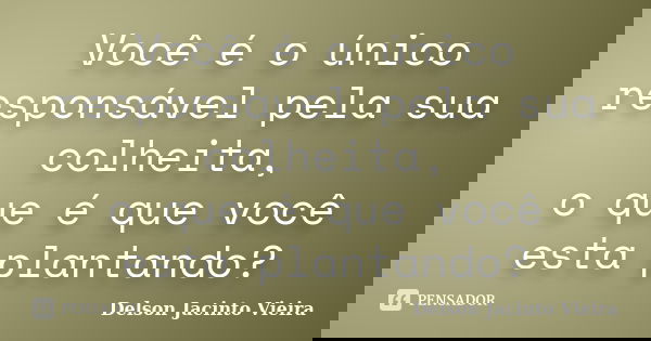 Você é o único responsável pela sua colheita, o que é que você esta plantando?... Frase de Delson Jacinto Vieira.