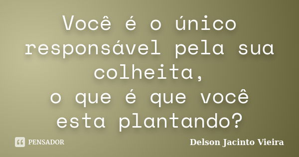 Você é o único responsável pela sua colheita, o que é que você esta plantando?... Frase de Delson Jacinto Vieira.