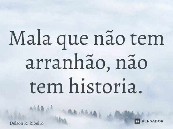 ⁠Mala que não tem arranhão, não tem historia.... Frase de Delson R. Ribeiro.