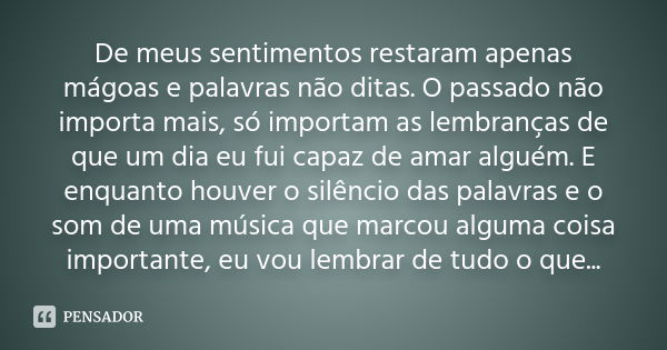 De meus sentimentos restaram apenas mágoas e palavras não ditas. O passado não importa mais, só importam as lembranças de que um dia eu fui capaz de amar alguém