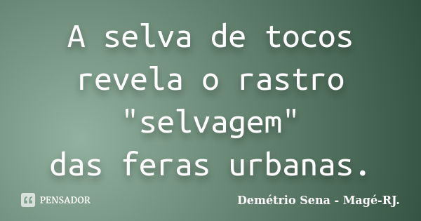 A selva de tocos revela o rastro "selvagem" das feras urbanas.... Frase de Demétrio Sena - Magé - RJ..