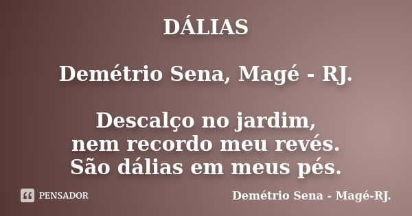 DÁLIAS Demétrio Sena, Magé - RJ. Descalço no jardim, nem recordo meu revés. São dálias em meus pés.... Frase de Demétrio Sena, Magé - RJ..