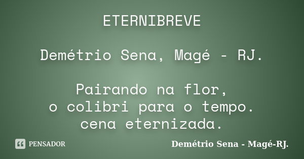 ETERNIBREVE Demétrio Sena, Magé - RJ. Pairando na flor, o colibri para o tempo. cena eternizada.... Frase de Demétrio Sena, Magé - RJ..