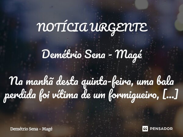NOTÍCIA URGENTE Demétrio Sena - Magé Na manhã desta quinta-feira, uma bala perdida foi vítima de um formigueiro, às margens da Rodovia Rio - Magé, altura de Su... Frase de Demétrio Sena - Magé.