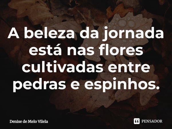 ⁠A beleza da jornada está nas flores cultivadas entre pedras e espinhos.... Frase de Denise de Melo Vilela.