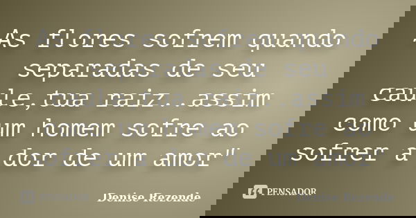 As flores sofrem quando separadas de seu caule,tua raiz..assim como um homem sofre ao sofrer a dor de um amor"... Frase de Denise Rezende.