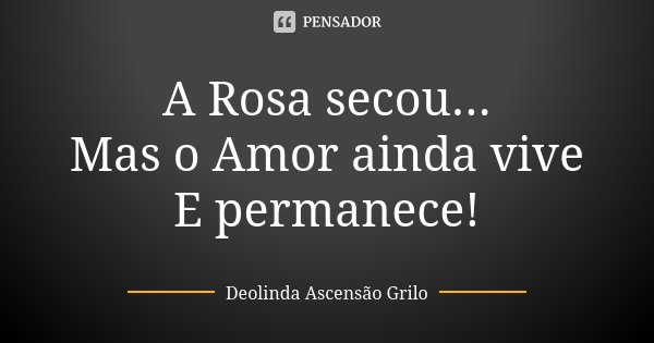 A Rosa secou... Mas o Amor ainda vive E permanece!... Frase de Deolinda Ascensão Grilo.