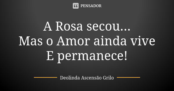 A Rosa secou... Mas o Amor ainda vive E permanece!... Frase de Deolinda Ascensão Grilo.