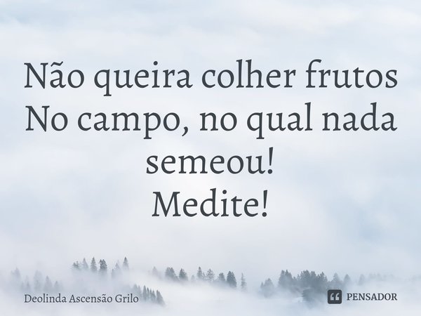⁠Não queira colher frutos
No campo, no qual nada semeou!
Medite!... Frase de Deolinda Ascensão Grilo.