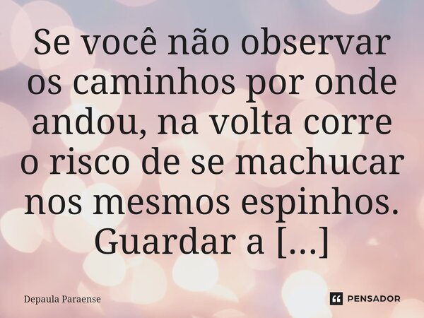 ⁠Se você não observar os caminhos por onde andou, na volta corre o risco de se machucar nos mesmos espinhos.... Frase de DEPAULA PARAENSE.