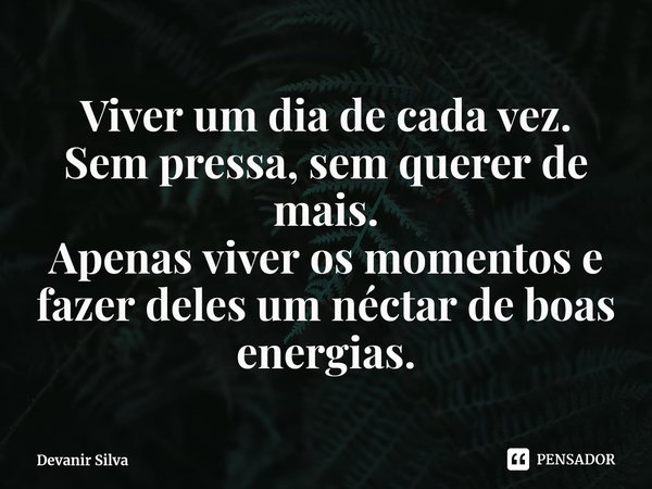 ⁠Viver um dia de cada vez.
Sem pressa, sem querer de mais.
Apenas viver os momentos e fazer deles um néctar de boas energias.... Frase de Devanir Silva.