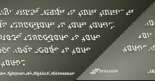 Ou você sabe o que quer e não consegue o que quer, ou você consegue o que quer mas não sabe o que quer.... Frase de Diane Nguyen de BoJack Horseman.