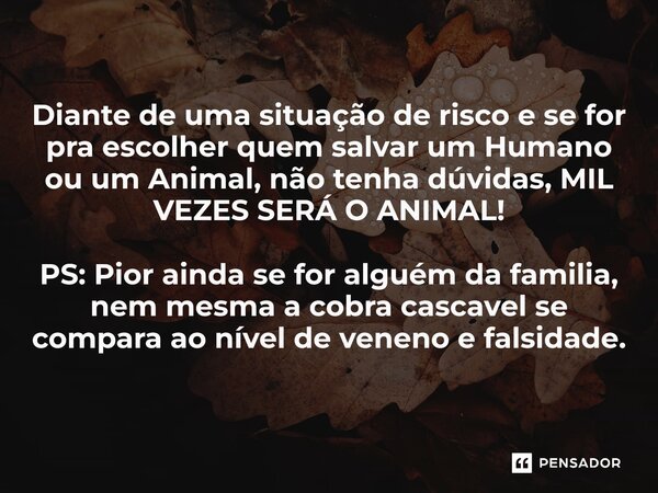 Diante de uma situação de risco e se for pra escolher quem salvar um Humano ou um Animal⁠, não tenha dúvidas, MIL VEZES SERÁ O ANIMAL! PS: Pior ainda se for alg