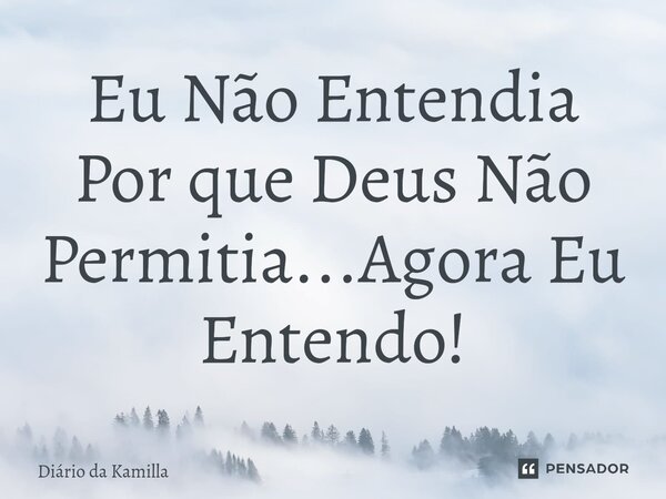 ⁠Eu Não Entendia Por que Deus Não Permitia...Agora Eu Entendo!... Frase de Diário da Kamilla.
