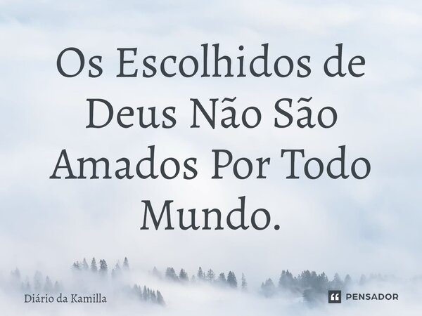 ⁠Os Escolhidos de Deus Não São Amados Por Todo Mundo.... Frase de Diário da Kamilla.