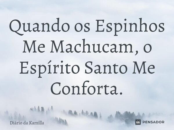 ⁠Quando os Espinhos Me Machucam, o Espírito Santo Me Conforta.... Frase de Diário da Kamilla.