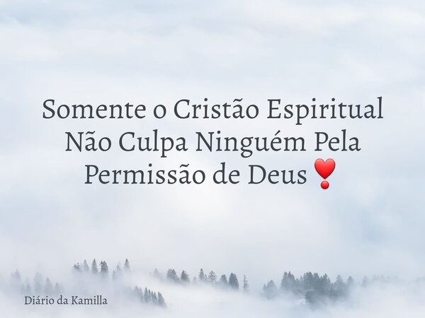 Somente o Cristão Espiritual Não Culpa Ninguém Pela Permissão de Deus❣... Frase de Diário da Kamilla.