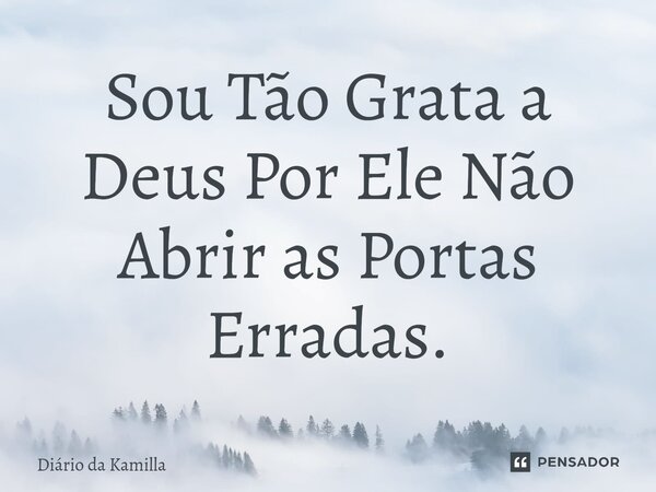 ⁠⁠Sou Tão Grata a Deus Por Ele Não Abrir as Portas Erradas.... Frase de Diário da Kamilla.