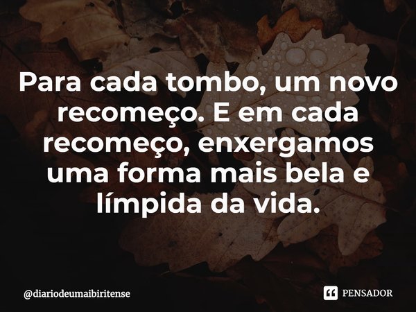 ⁠Para cada tombo, um novo recomeço. E em cada recomeço, enxergamos uma forma mais bela e límpida da vida.... Frase de diariodeumaibiritense.